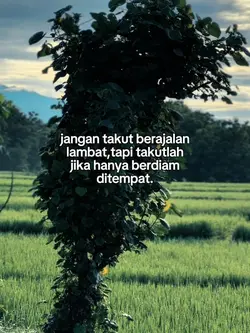 Story kerja