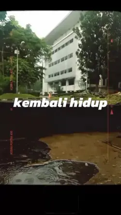 BUAT SW 