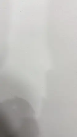 magnitic