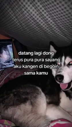 DATANG LAGI DONG....
