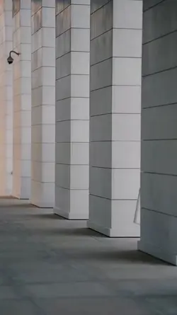slowmo catwallk