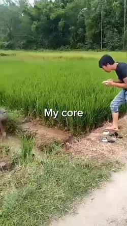 My core