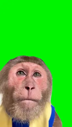 Sad monkey 