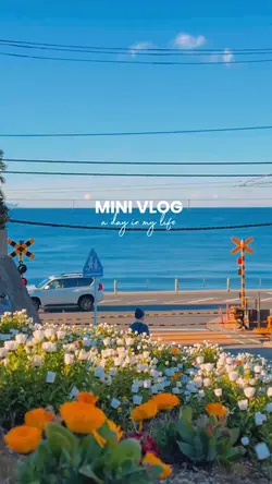 Mini vlog