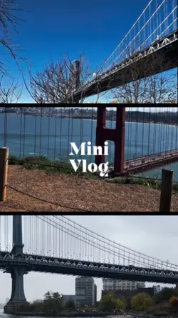 Mini Vlog