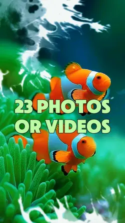 23 Video Slides