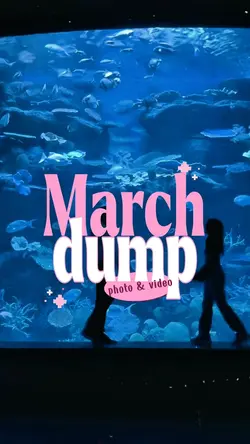 MARCH DUMP