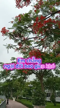 Em chẳng ngại