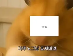 아주 그냥 죠져버려