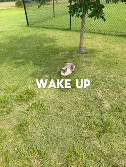 4th of July 