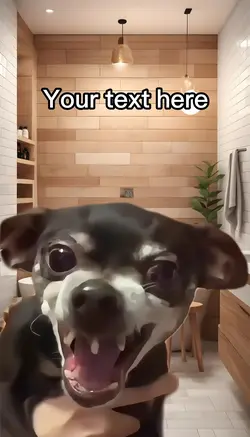Funny dog