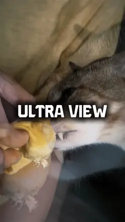 Ultra view