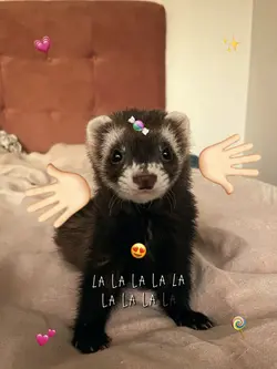 La la la 💕✨
