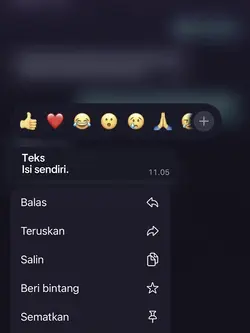 Teks isi sendiri