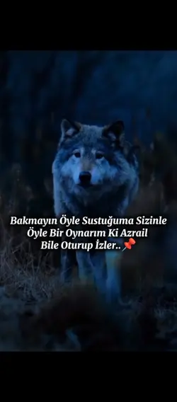 yeni şablon..