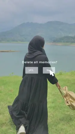 DELETE ALL MEMORIES