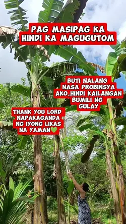 Puso ng Saging 