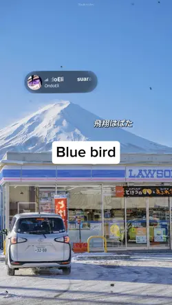 Blue bird