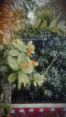Tera Naam haseen Ae