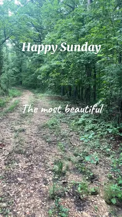Sunday vibes