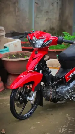 chỉnh màu video