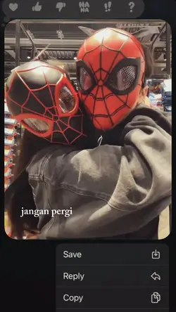 jangan pergi dri