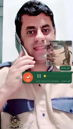 Figurinha do Jacaré