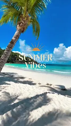 summer vibes