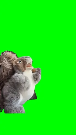 dancing squirrel
