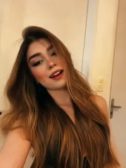 novo modelo 