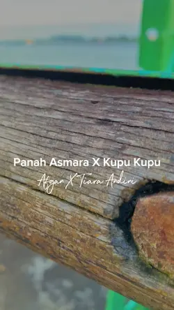 Kupu Kupu