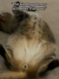 I dont gib a shitte 