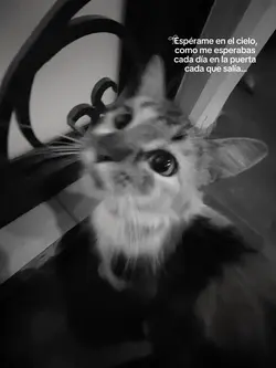 la extraño..