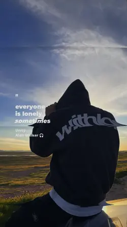 unity alan Walker
