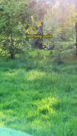 morning walk
