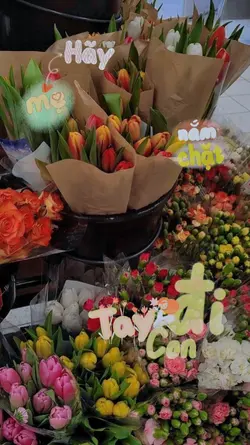 Mẫu 8/3
