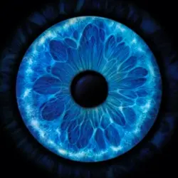 Blue Iris Template