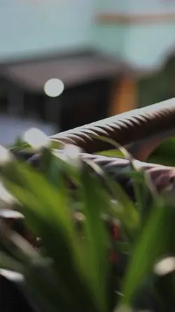 CINEMATIC FILTER HD