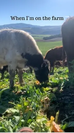 Love farming