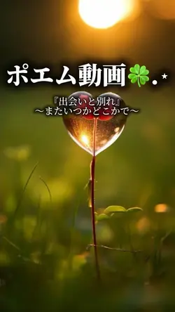 ポエム動画🍀.⋆