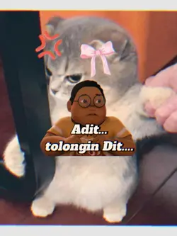 Adit Tolongin dit