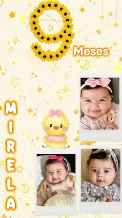 9 meses 