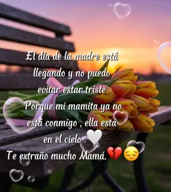 Hasta el cielo Mamá🤍
