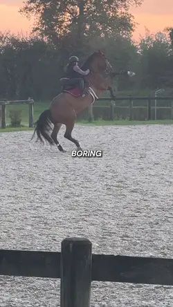 boring|do no try 18+