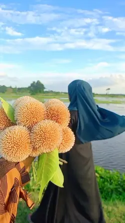 Gulbahar 