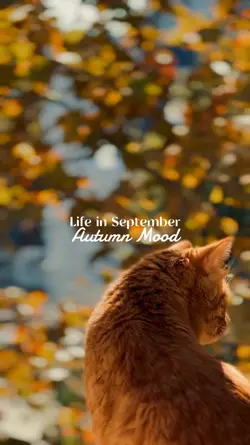 Autumn Mood