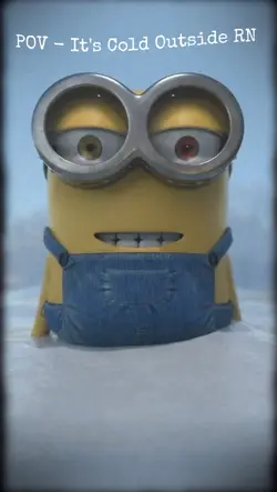 Despicable Me MEME