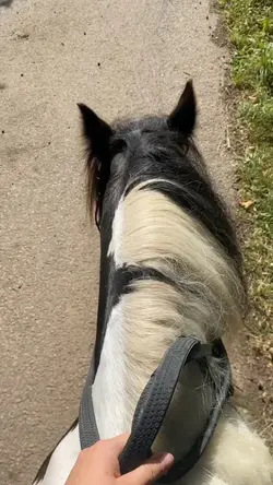 Slo mo template