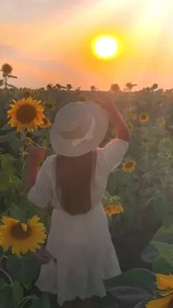 sunset 4