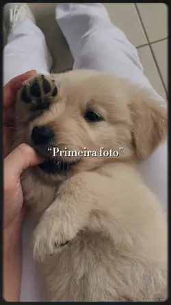 Última foto❤️🩹